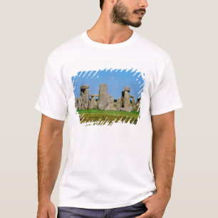 ヨーロッパ, イギリス, イングランド, ウィルトシャー, Tシャツ