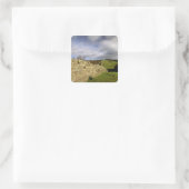 ヨーロッパ、イギリス、ノーサンバーランド。ハドリアン スクエアシール (バッグ)