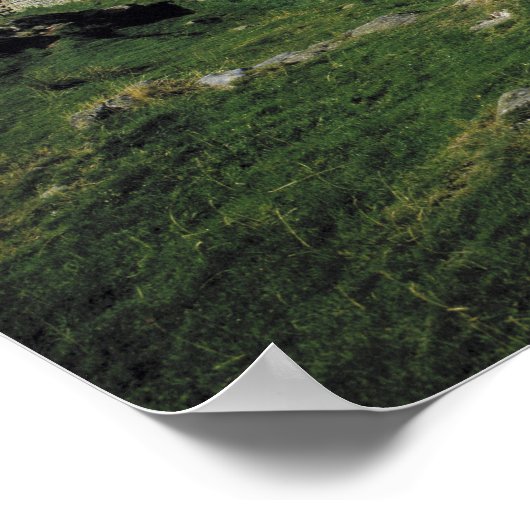 ヨーロッパ、イギリス、ハドリアンの城壁。石 ポスター (角)