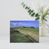 ヨーロッパ、イギリス、ハドリアンの城壁。石 ポストカード (スタンド正面)