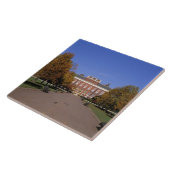 ヨーロッパ、イギリス、ロンドン。ケンジントンパレスイン タイル (側面)