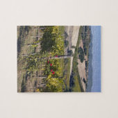 ヨーロッパ、イタリア、ウンブリア、モンテファルコの近く、ヴィネヤード ジグソーパズル (横)