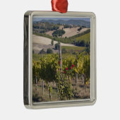 ヨーロッパ、イタリア、ウンブリア、モンテファルコの近く、ヴィネヤード メタルオーナメント (右)