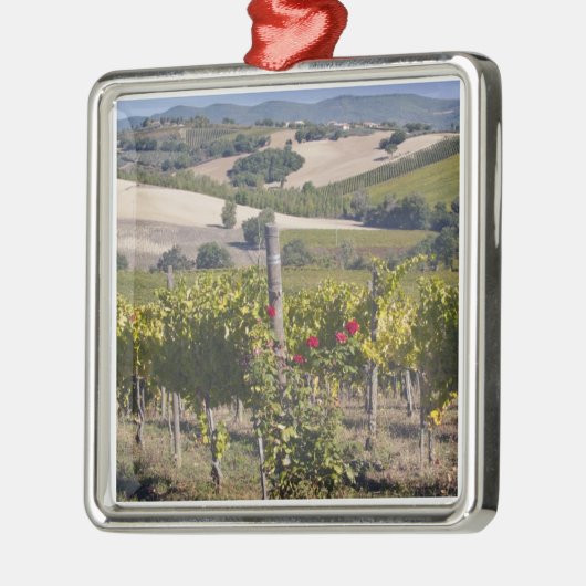 ヨーロッパ、イタリア、ウンブリア、モンテファルコの近く、ヴィネヤード メタルオーナメント (左)