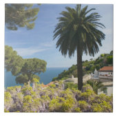 ヨーロッパ,イタリア,カンパニア, (アマルフィコースト), タイル (正面)