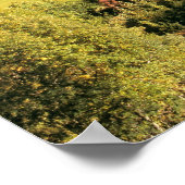 ヨーロッパ、イタリア、サンタマグダレナ。ちっぽけな ポスター (角)