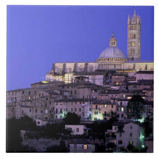 ヨーロッパ、イタリア、トスカーナ、シエナ。第13紀ドゥオモと タイル (正面)