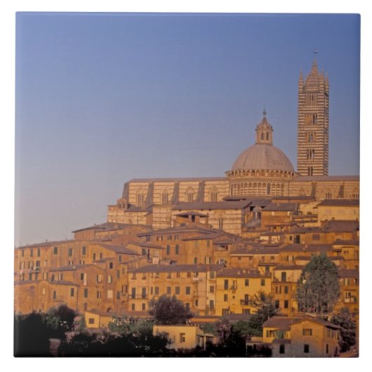 ヨーロッパ、イタリア、トスカーナ、シエナ。13世紀3 タイル (正面)