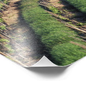 ヨーロッパ、イタリア、トスカーナ。シーニックヴィラキプロス。 フォトプリント            (角)