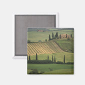 ヨーロッパ，イタリア，トスカーナ，バルドルシア，トスカーナ マグネット (正面/裏面)