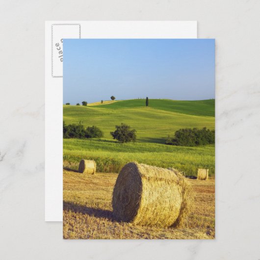 ヨーロッパ,イタリア,トスカーナ,バルドルシア,ピエンツァ – ポストカード (正面/裏面)