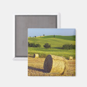 ヨーロッパ,イタリア,トスカーナ,バルドルシア,ピエンツァ – マグネット (正面/裏面)