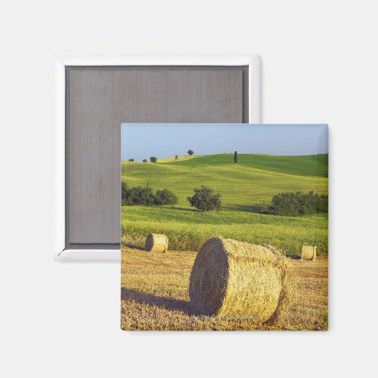 ヨーロッパ,イタリア,トスカーナ,バルドルシア,ピエンツァ – マグネット (正面/裏面)