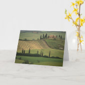 ヨーロッパ、イタリア、トスカーナ、バル·ドルシア、トスカナ カード (黄色い花)