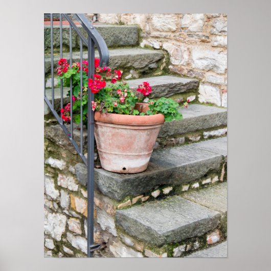 ヨーロッパ、イタリア、トスカーナ ポスター (正面)