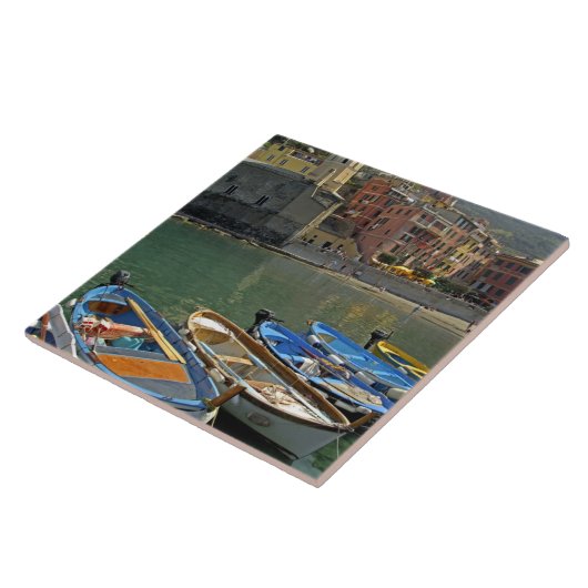 ヨーロッパ、イタリア、リグリア地域、シンク·テレ, 2 タイル (側面)