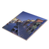 ヨーロッパ，イタリア，ヴェネツィア，村野島カラフル, タイル (側面)