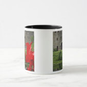 ヨーロッパ、ウェールズ、カーディフ。カーディフ城。ウェルシュ マグカップ (中央)