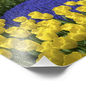 ヨーロッパ、オランダ、オランダ、リッセ、ケウケンホフ フォトプリント (角)