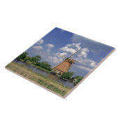 ヨーロッパ、オランダ、キネルダイク。風車が坐る タイル (側面)