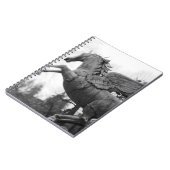 ヨーロッパ、オーストリア、サルツブルク翼馬像2 ノートブック (左側)