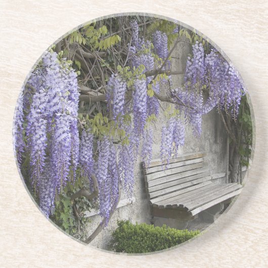 ヨーロッパ、オーストリア、サルツブルグ·スタット、サルツブルグ、 コースター (正面)