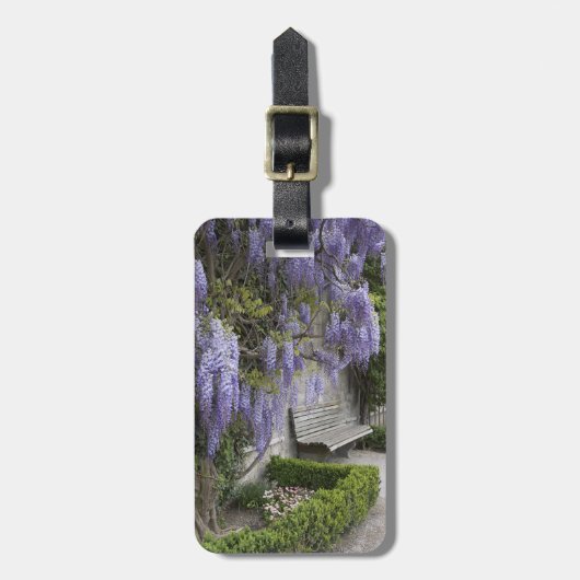 ヨーロッパ、オーストリア、サルツブルグ·スタット、サルツブルグ、 ラゲッジタグ (正面縦)