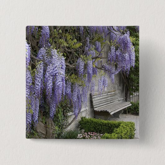 ヨーロッパ、オーストリア、サルツブルグ·スタット、サルツブルグ、 缶バッジ (正面)