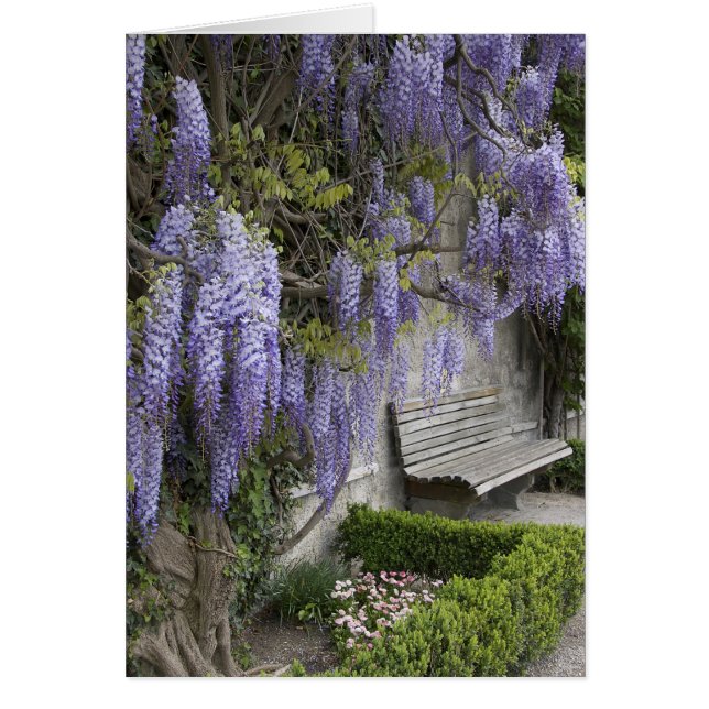 ヨーロッパ、オーストリア、ザルツブルグ基準、ザルツブルグ、 (正面)