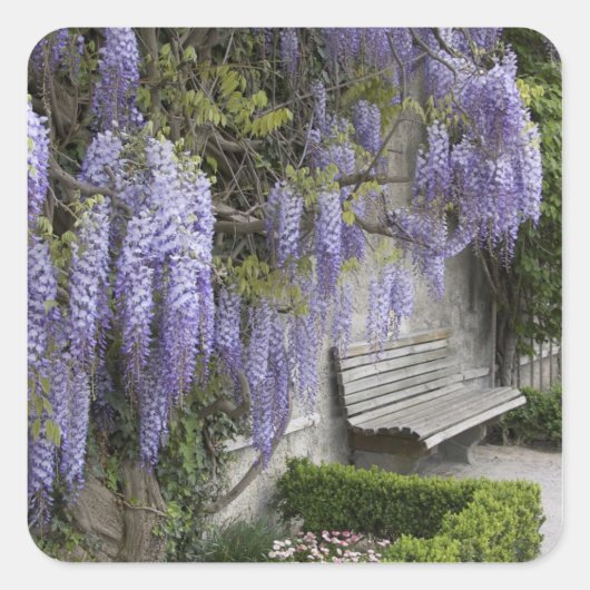 ヨーロッパ、オーストリア、ザルツブルグ基準、ザルツブルグ、 スクエアシール (正面)