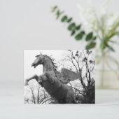 ヨーロッパ、オーストリア、ザルツブルグ。翼のある馬像 ポストカード (スタンド正面)