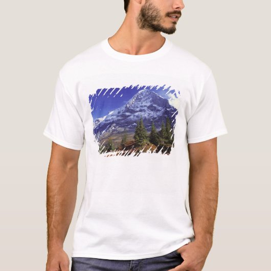 ヨーロッパ、スイス、アイガー。紅葉が豊かです Tシャツ (正面)