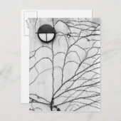 ヨーロッパ、スイス、ルツェルン。ツタ模様 ポストカード (正面/裏面)