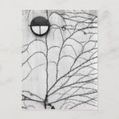 ヨーロッパ、スイス、ルツェルン。ツタ模様 ポストカード (正面)