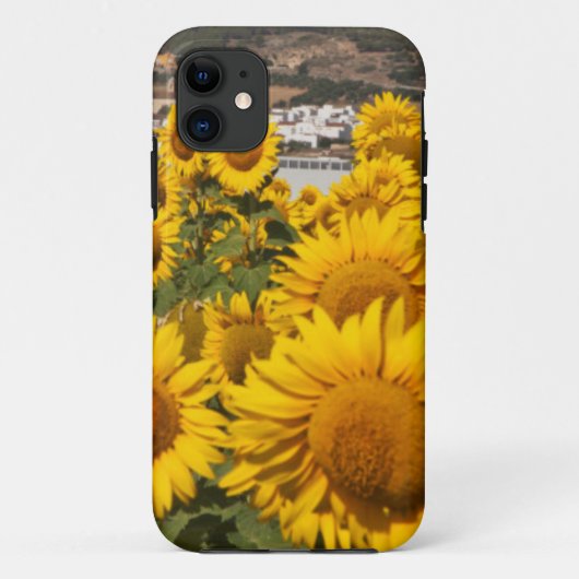ヨーロッパ, スペイン, アンダルシア州, カディス県 Case-Mate iPhoneケース (裏面)