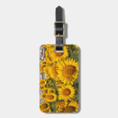 ヨーロッパ、スペイン、アンダルシア、カディズ州 ラゲッジタグ (正面縦)