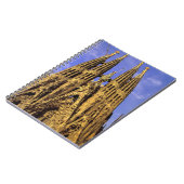 ヨーロッパ、スペイン、バルセロナ、サグラダ·ファミリア ノートブック (左側)