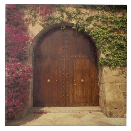 ヨーロッパ、スペイン、バレアリクス、マロルカ、パルマ·デ タイル (正面)