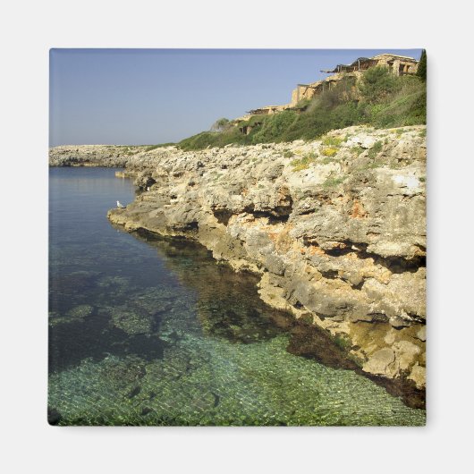 ヨーロッパ、スペイン、ミノルカ（別名メノルカ）、ビニベカ。2 マグネット (正面)