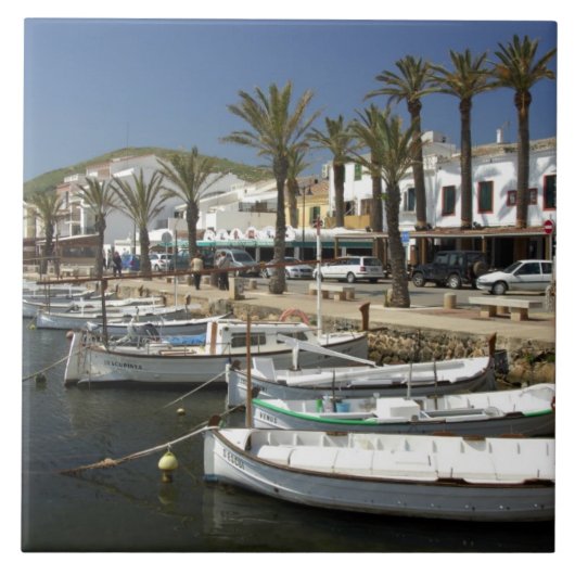 ヨーロッパ、スペイン、ミノルカ(別名メノルカ)。魚釣り タイル (正面)