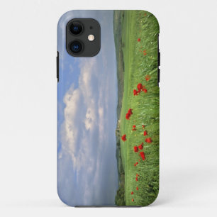 ヨーロッパ、トスカーナ、ポッジョーロ。赤いポピーが揺れる iPhone 11 ケース