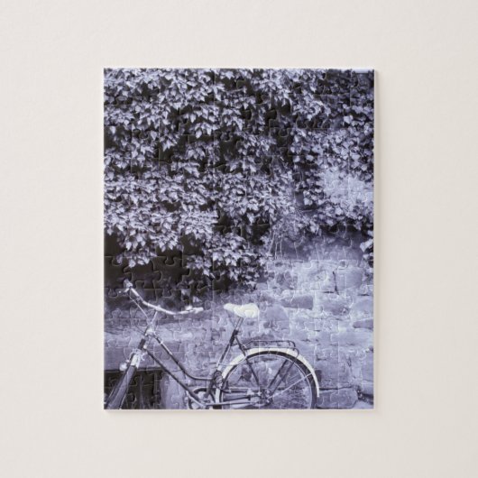 ヨーロッパ、ドイツ、バーデン、ウルトテンベルグ、ハイデルベルグ。2 ジグソーパズル (縦)