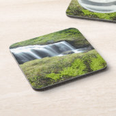 ヨーロッパ、ノルウェー。滝。 コースター (左側)