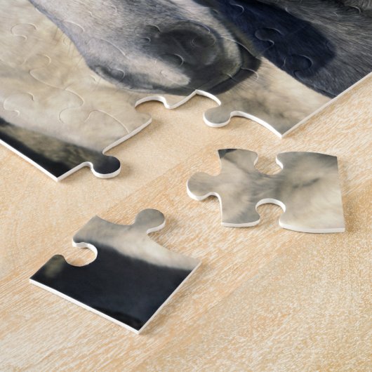 ヨーロッパ、フランス、イルデルラカマルグ。カマルグ3 ジグソーパズル (側面)