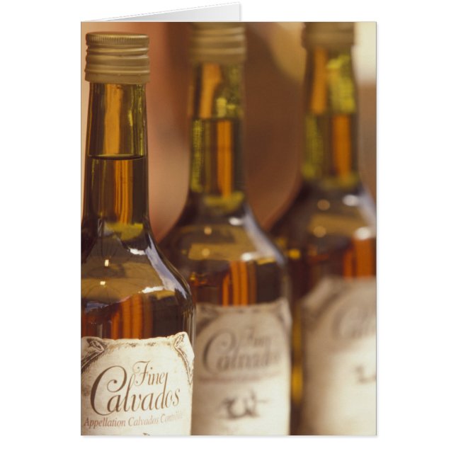 ヨーロッパ、フランス、カルバドフランスのス (正面)