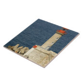 ヨーロッパ、フランス、コルシカ、バスティア。ポート タイル (側面)