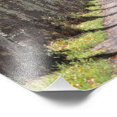 ヨーロッパ、フランス、セレスティ。この道は木が並んでいる フォトプリント            (角)