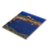 ヨーロッパ、フランス、テオール·シュル·メル。瓦葺き タイル (側面)