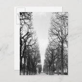 ヨーロッパ、フランス、パリ。マルコポーロ、冬の木 ポストカード (正面/裏面)