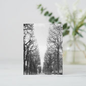 ヨーロッパ、フランス、パリ。マルコポーロ、冬の木 ポストカード (スタンド正面)